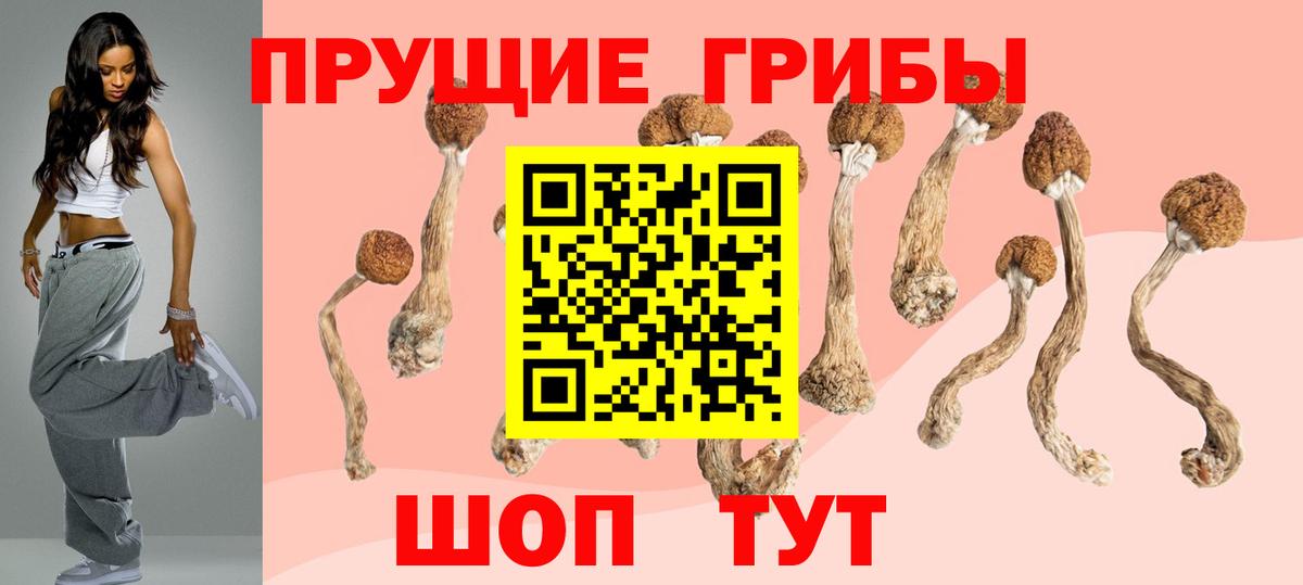 Галлюциногенные грибы Cubensis Азнакаево